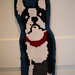 Flat Bob photo 3