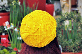 Vero Verto (Daffodil)