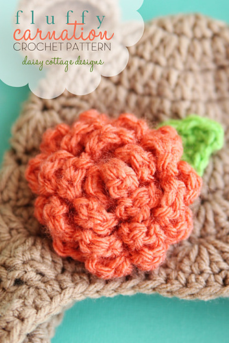 Carnation Flower
