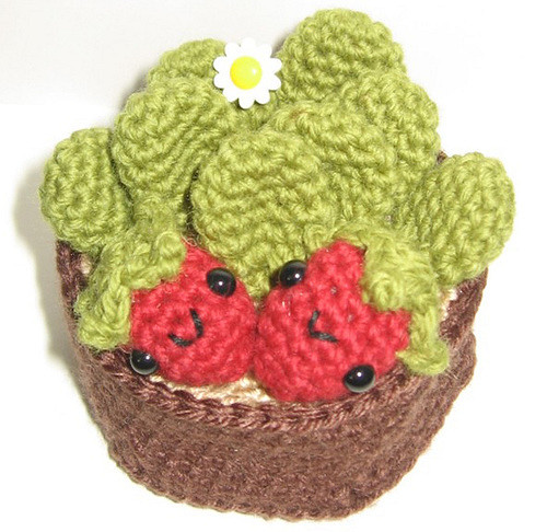 A Little Strawberry Plant