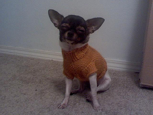 Single Cable Small Dog Sweater photo 3