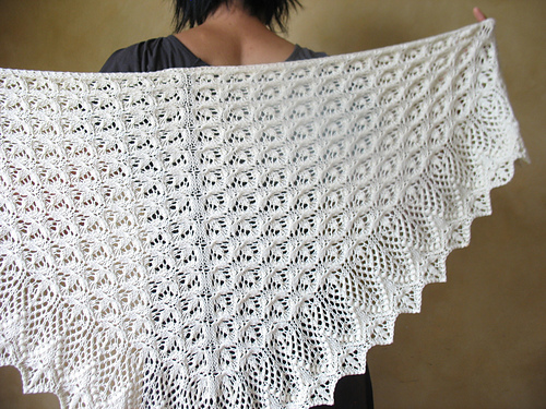 echo shawl