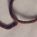Cursive Typography photo 3
