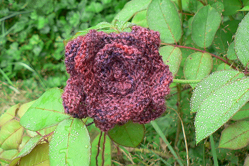 Rose Lapel Pin