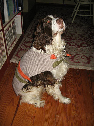Double-strap jacket