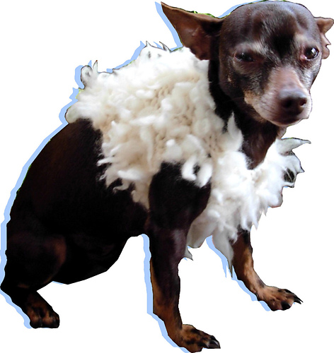 Faux Fur Glamour Coat