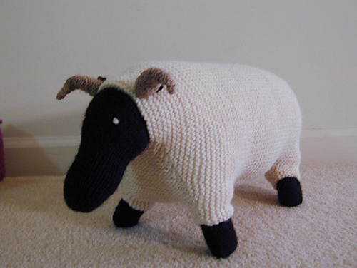 Sheep