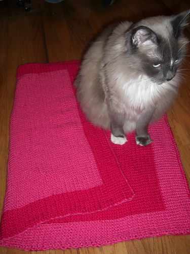 Double Knit Blanket