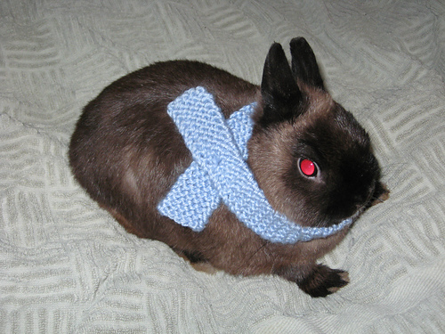 Pet Scarf photo 1