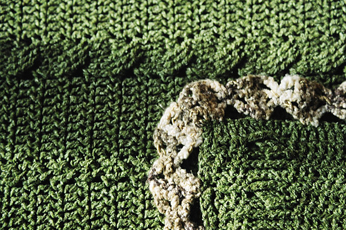Holly's Blanket