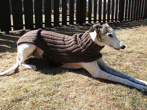 Ravelry: Side Button Greyhound Sweater pattern by Terri Lee Royea
