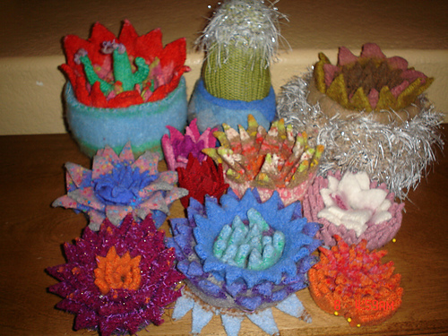 Cactus Cakes photo 8