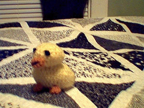 Quackers the Duck