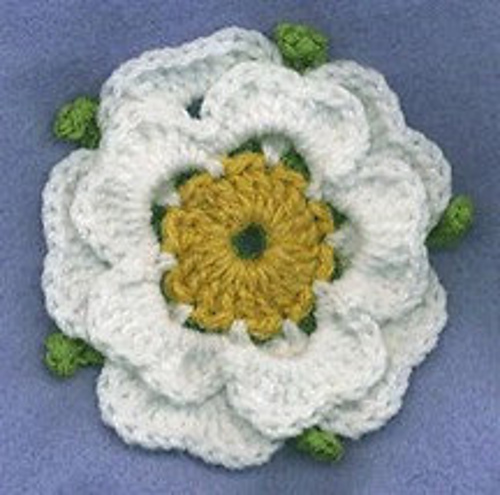 Ravelry Yorkshire Rose Pattern By Suzann Thompson