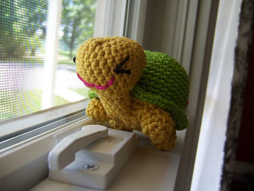 TorGri, The Lucky Tortoise