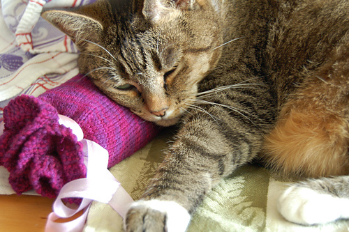One Skein Bamboo Neck Pillow