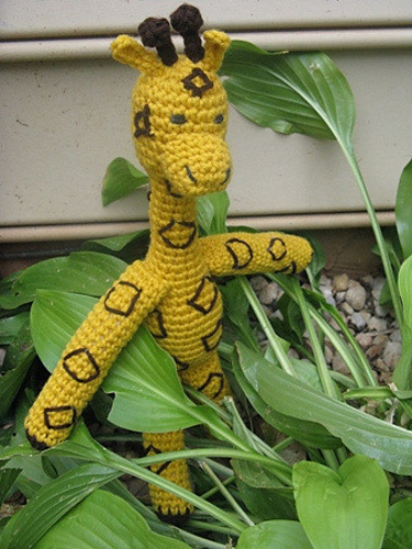 Giraffe