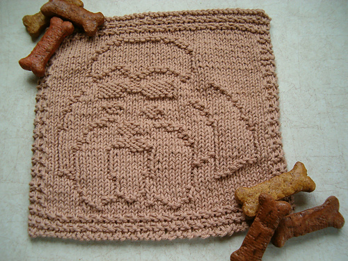 Shih Tzu Cloth