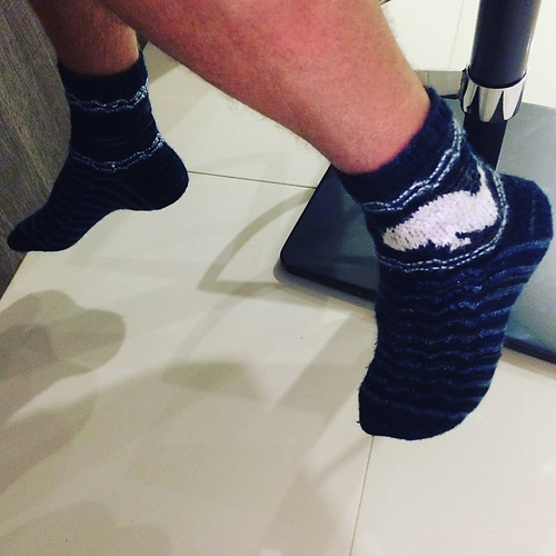 Whale in the Waves Socks