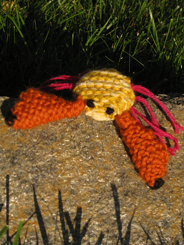 Crab