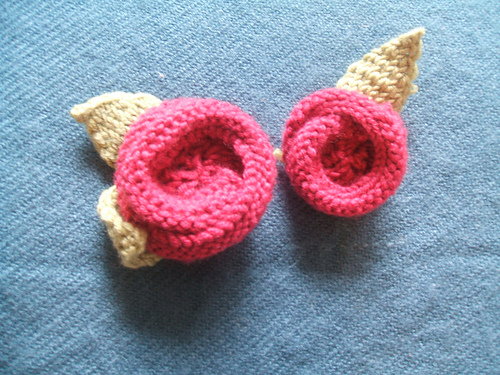 Rose and Leaves