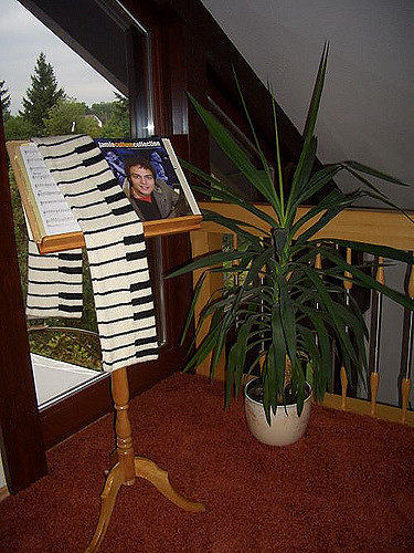 Piano Scarf