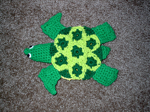 Shelly the Turtle