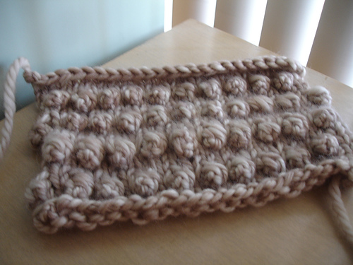 Glasses Case
