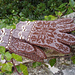 Norwegian Gloves photo 4