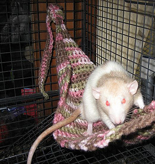 Crochet Hammock Pattern Rats Ravelry: Rat Hammock pattern by Wondra Vanian