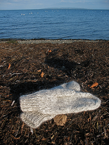 mittens 8