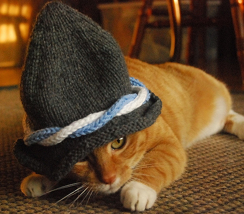 International Cat Hat: Germany, Ein Prosit photo 1