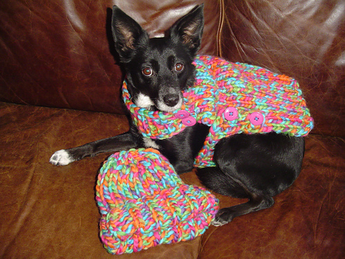 For Winter Walks Dog Sweater, Owner Hat and Scarf