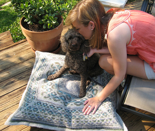 Bark-A-Lounger