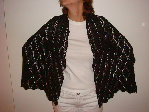 Long Leaf Lace Shawl