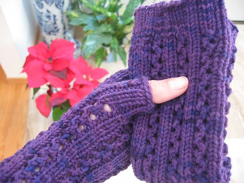 January Arm Warmers