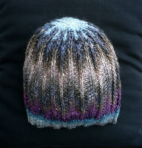 Sea Urchin