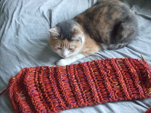Mile-a-Minute Scarf #4