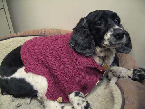 Soft Basketweave Cardigan