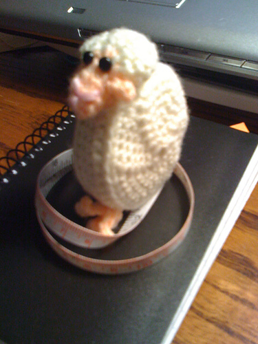 Lorna Sheep Measure