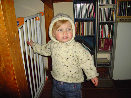 Hooded Sweater