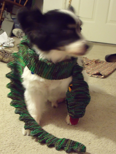 Dinosaur Scarf