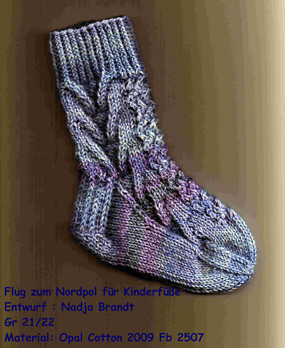 Flug zum Nordpol für Kids