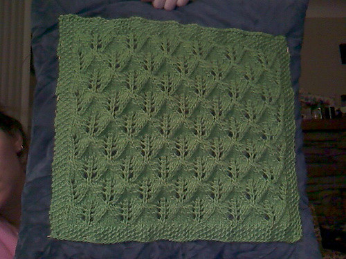 Fern or Leaf-Patterned Lace