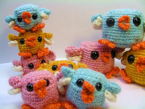 Square Chicks