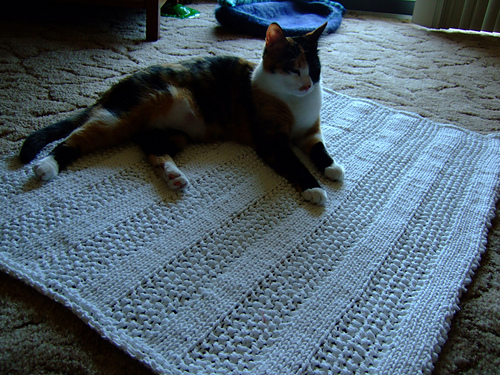 Everyday Bath Mat