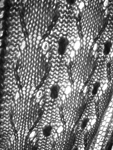 Mother of Pearl Scarf photo 6