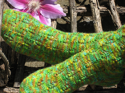 Thicket Socks