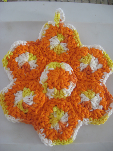 Grandmother's Flower Garden Potholder