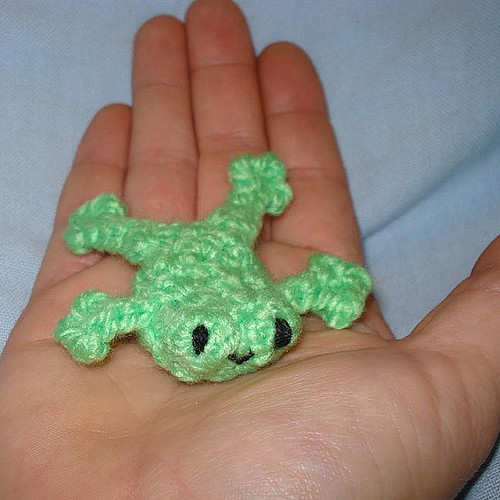 Frog in my Pocket
